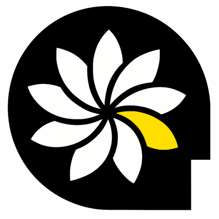hoan hy favicon