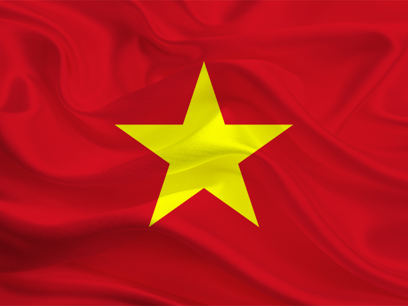 viet nam flag hoanhy
